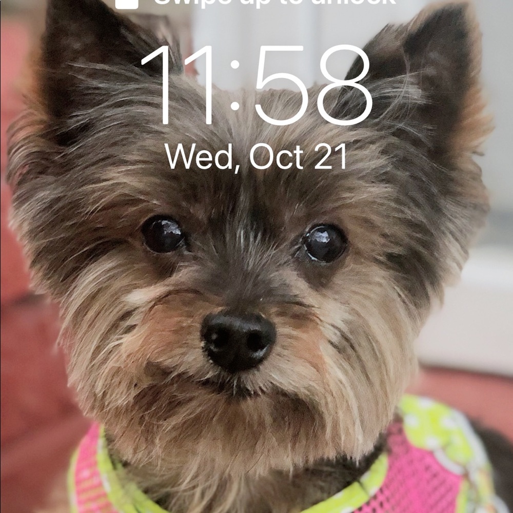 Meet your Posher, June